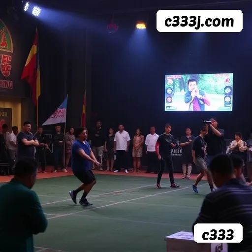 Gates of Olympus slot c333